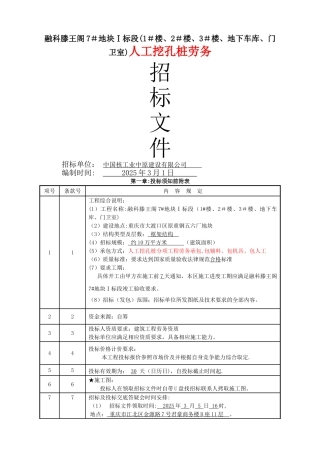 人工挖孔桩招标文件