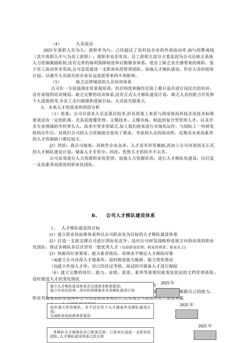 人才梯队建设详细方案_第2页