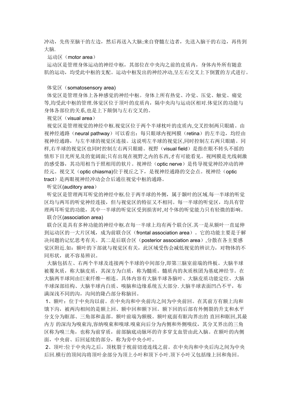 人类大脑的基本结构和功能_第3页