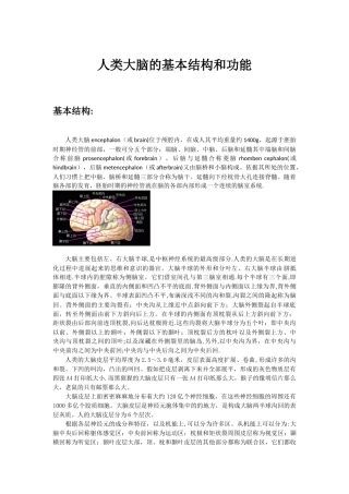 人类大脑的基本结构和功能