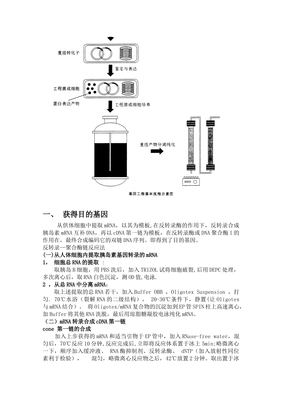 人胰岛素的制备_第2页