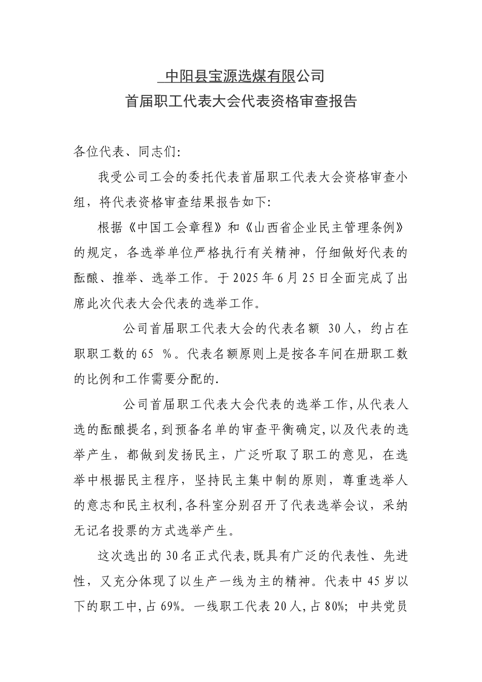 代表资格审查报告_第1页
