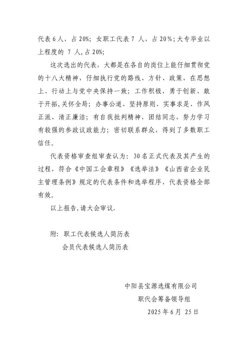 代表资格审查报告_第2页