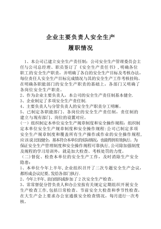 企业主要负责人安全生产履职情况报告