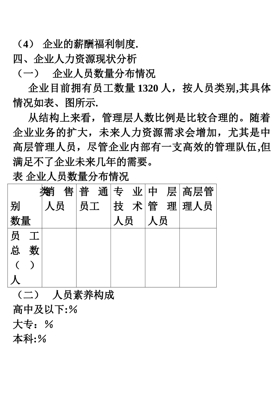 企业人力资源规划方案_第2页