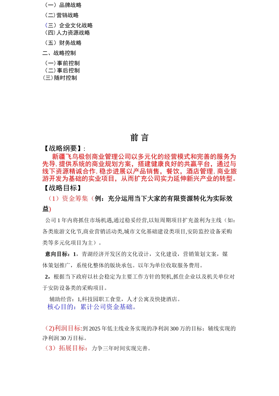 企业发展战略计划书_第3页