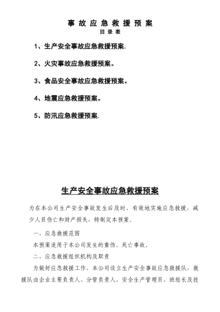 企业安全应急预案