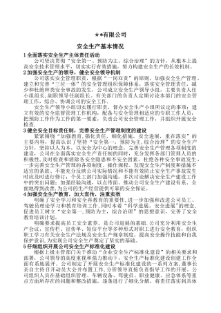 企业安全生产基本情况