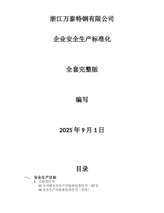 企业安全生产标准化全套2025年