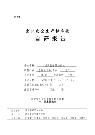 企业安全生产标准化自评报告、