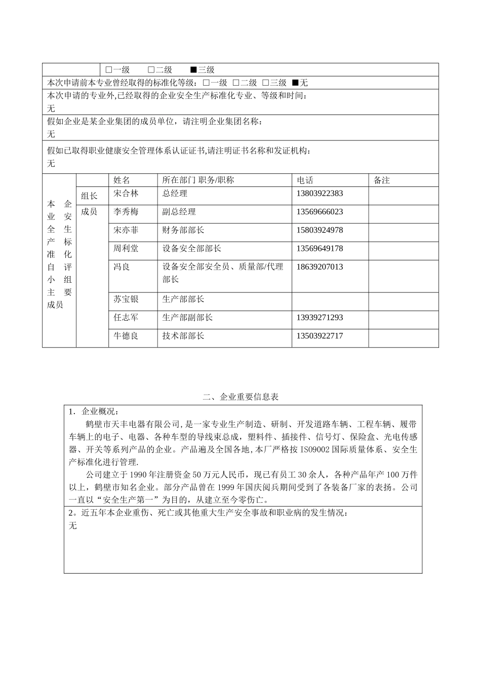 企业安全生产标准化评审申请表_第2页