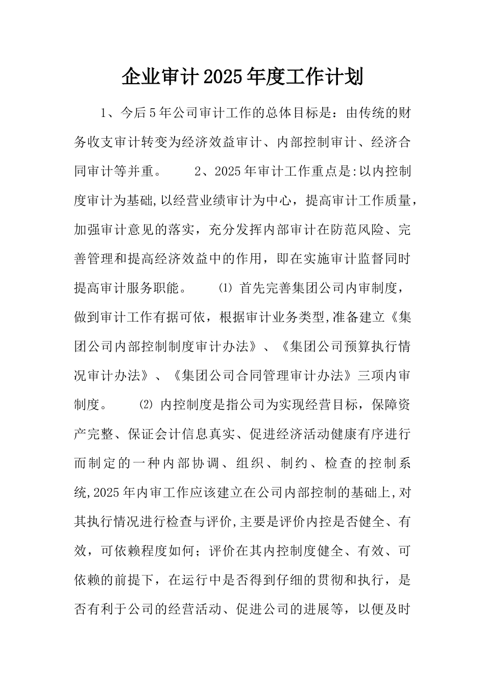企业审计2025年度工作计划_第1页