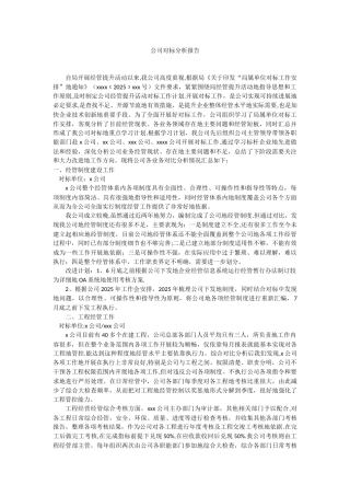 企业对标分析报告