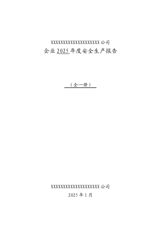 企业年度安全生产报告