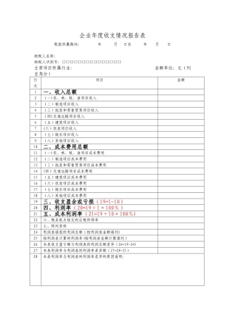 企业年度收支表