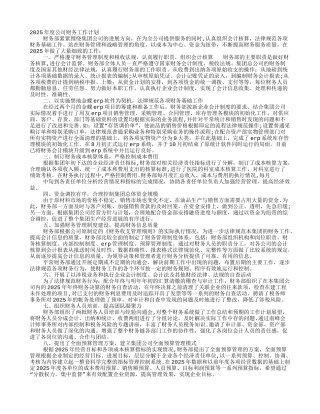 企业年度财务计划