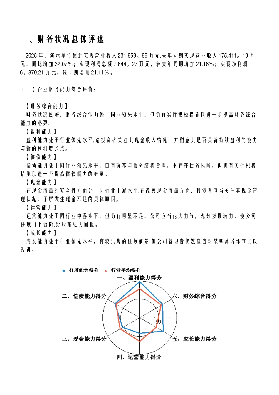 企业年度财务分析报告模板_第3页