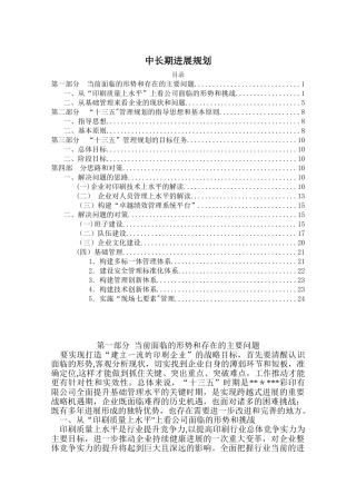 企业战略--中长期发展规划