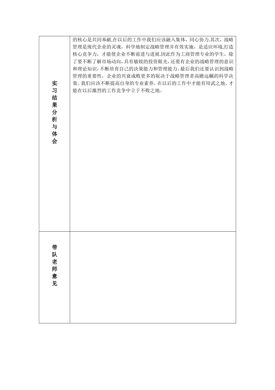 企业战略管理实习报告新_第2页