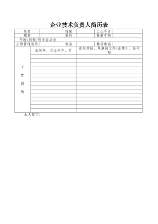 企业技术负责人简历表