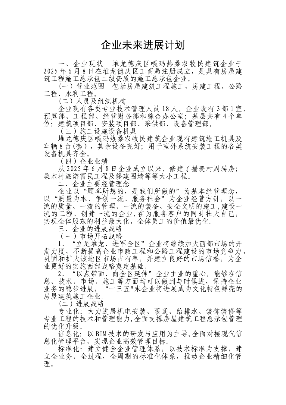 企业未来发展计划_第2页