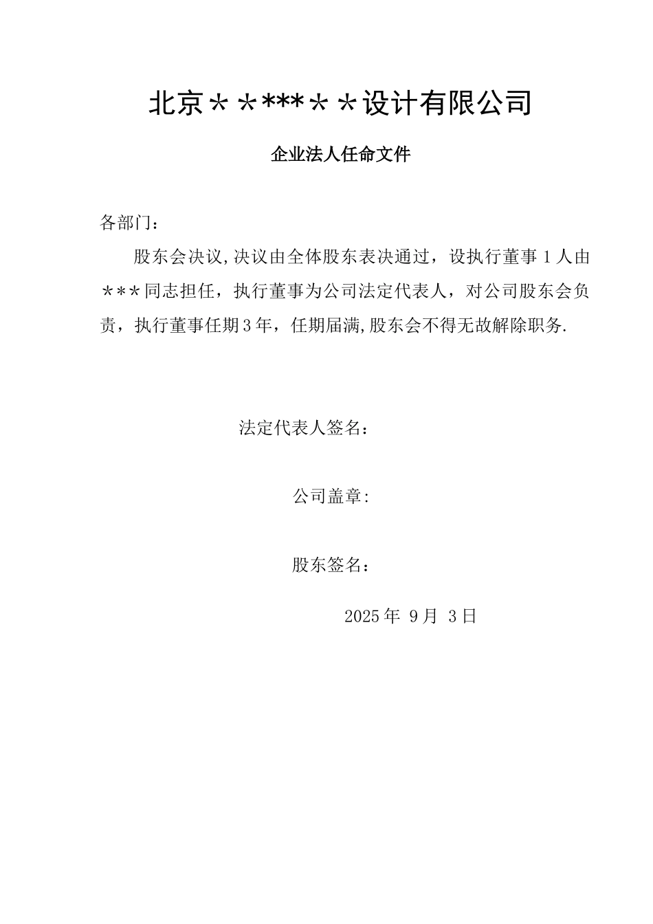 企业法人任命文件_第1页