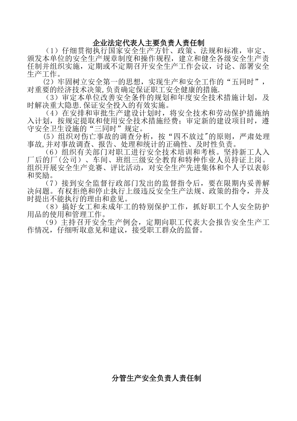 企业法定代表人或主要负责人职责_第1页