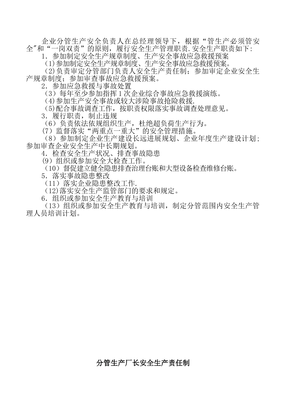 企业法定代表人或主要负责人职责_第2页