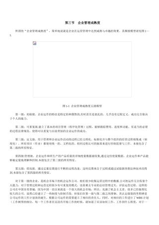 企业管理成熟度