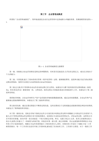 企业管理成熟度模型