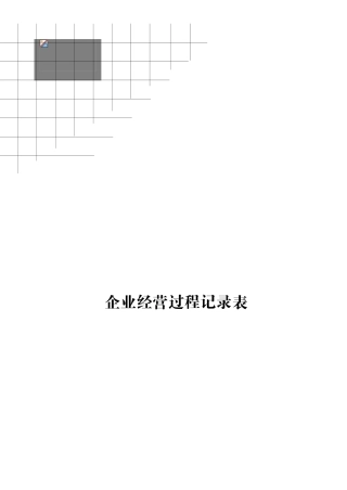企业经营记录表