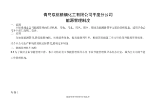 企业能源管理制度10580