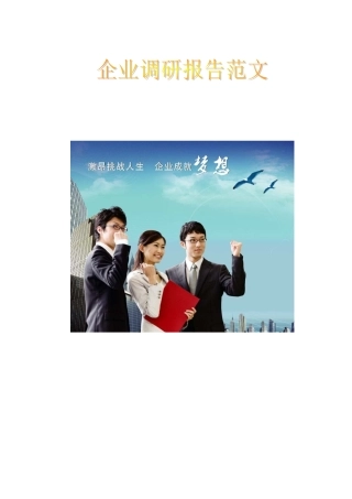 企业调研报告范文