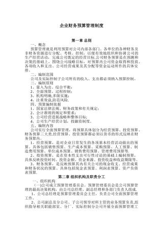 企业预算管理制度
