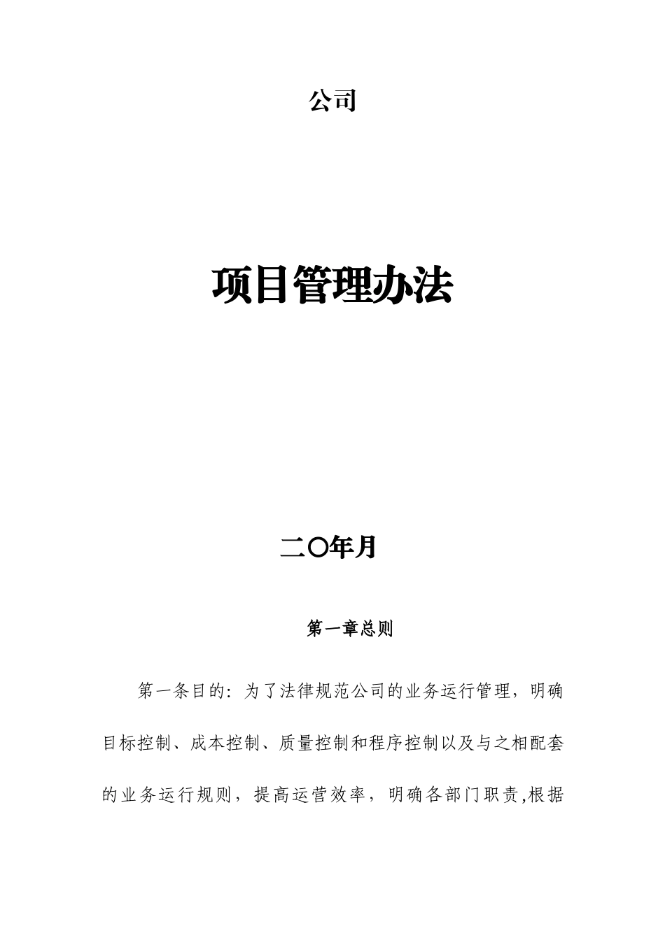 企业项目管理办法_第1页