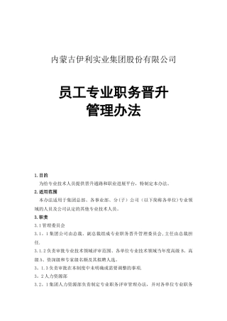 伊利集团员工专业职务晋升管理办法