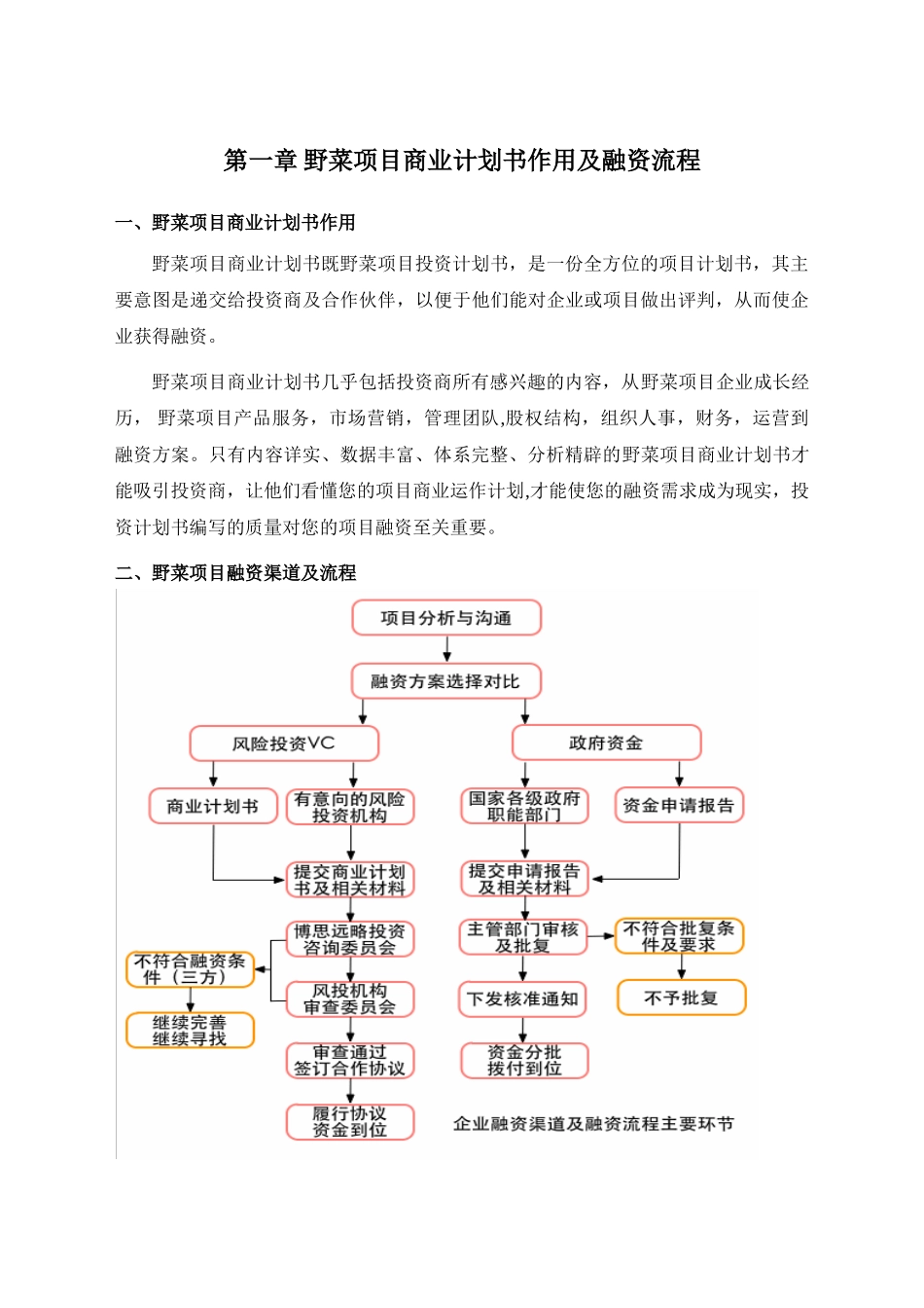 优秀野菜项目商业计划书_第3页
