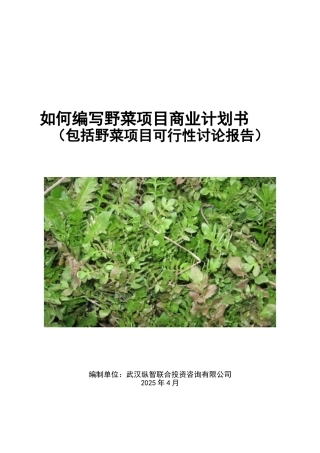 优秀野菜项目商业计划书