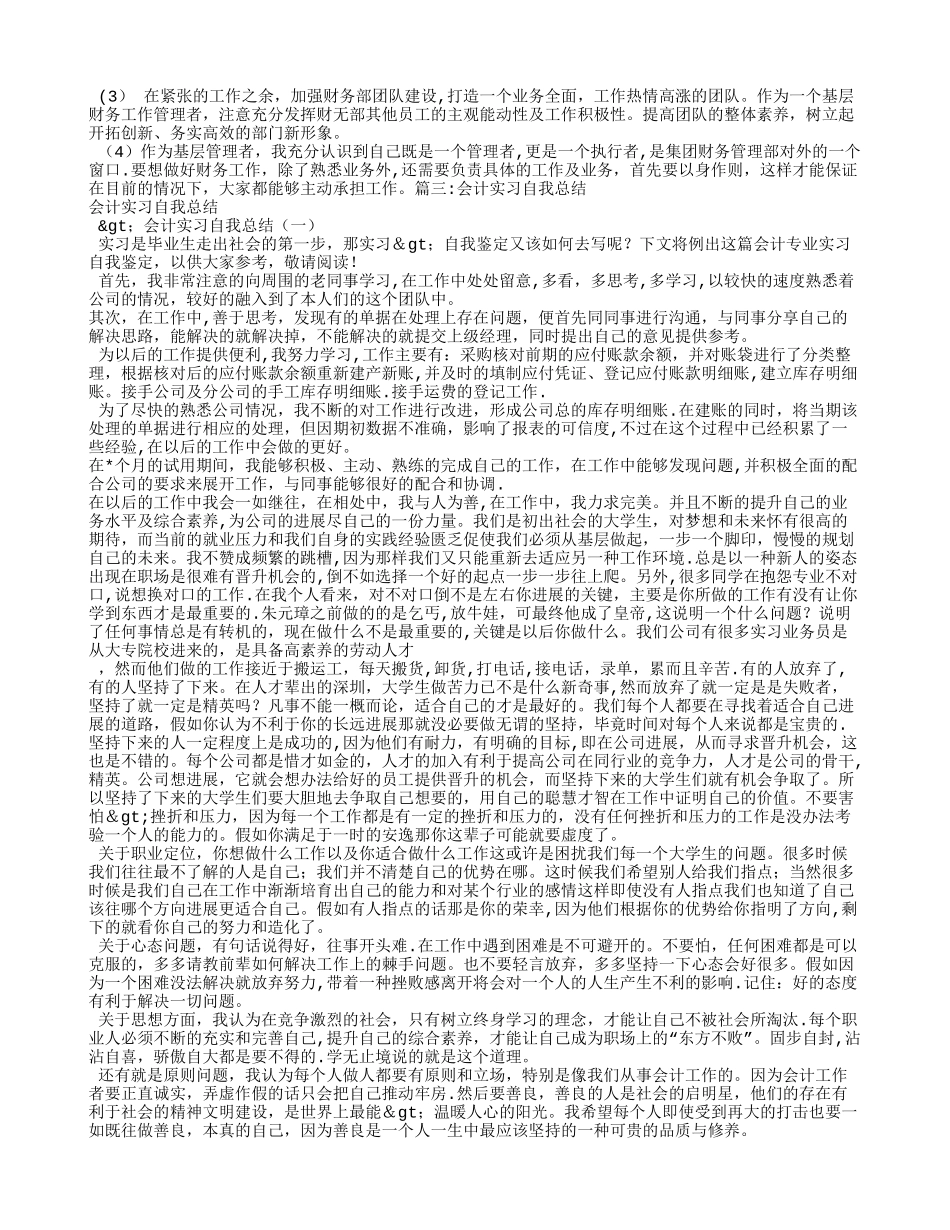 会计实习生自我总结_第2页