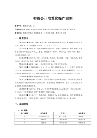 会计电算化操作案例