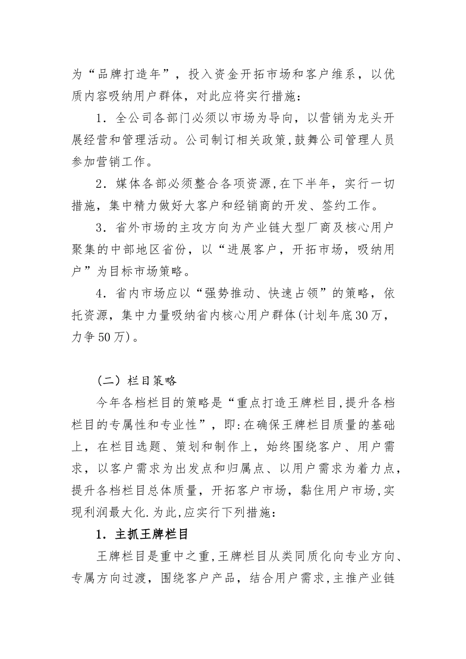 传媒公司年度经营计划_第2页