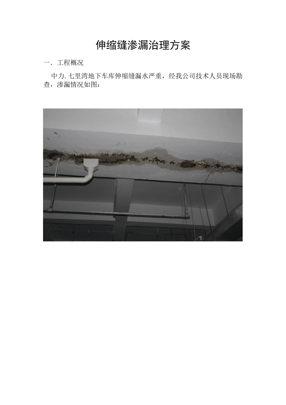 伸缩缝渗漏治理方案_第1页