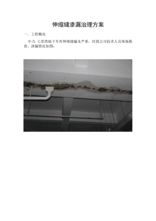 伸缩缝渗漏治理方案