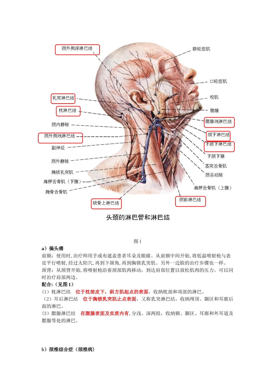 低温冲击镇痛仪治疗方案_第2页