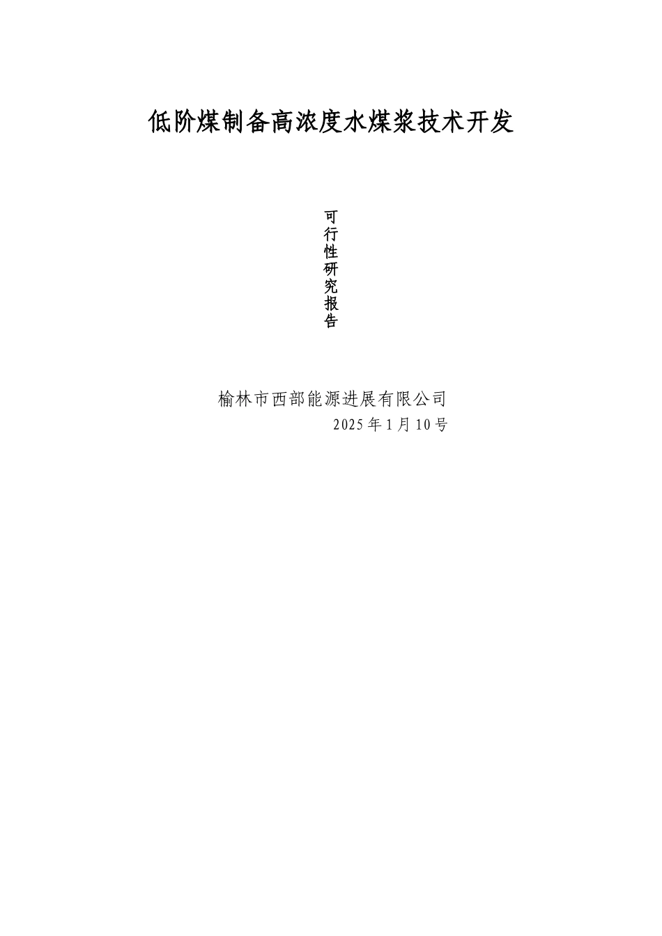 低阶煤制备高浓度水煤浆技术开发可行性报告_第1页