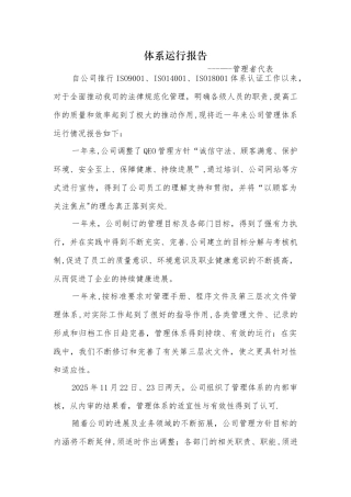 体系运行报告-管理者代表