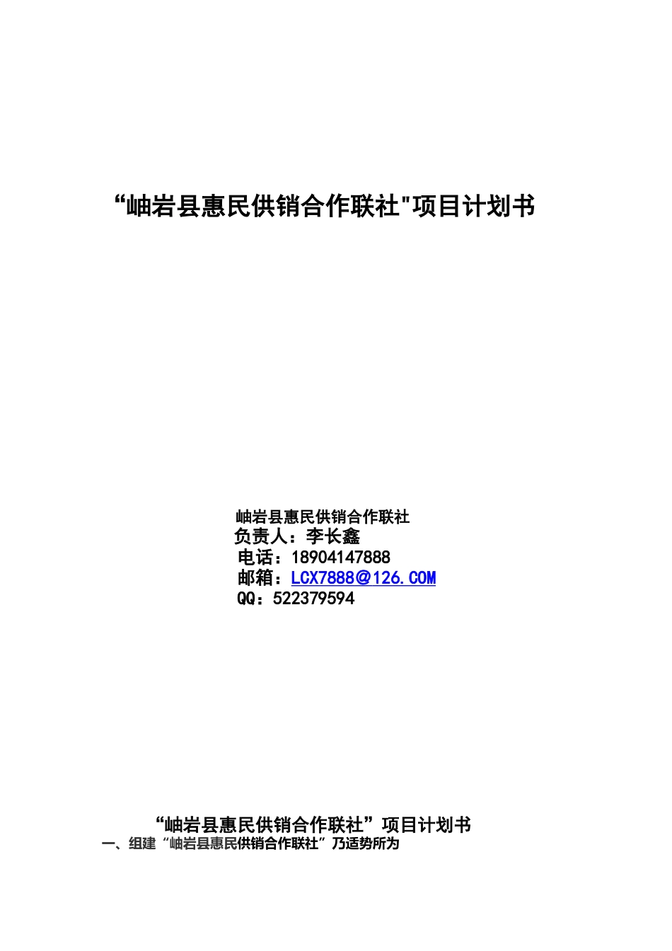供销社项目计划书_第1页