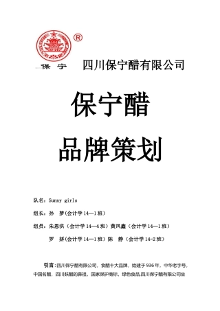 保宁醋品牌策划方案