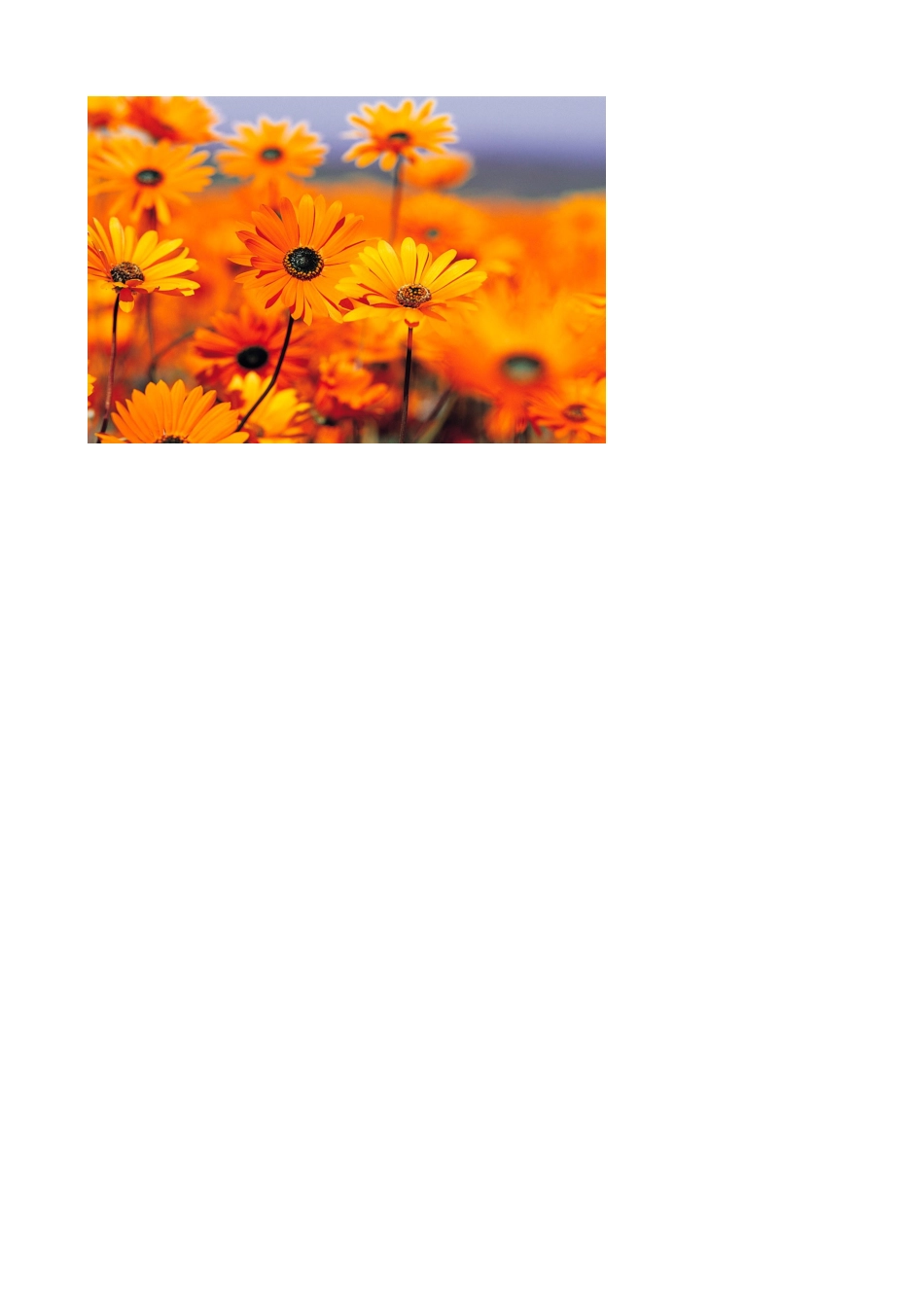 保安员交接班操作流程_第2页