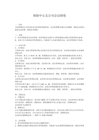 保险公司中心支公司会议制度